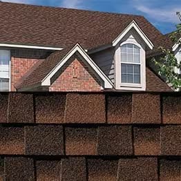 Brown Hickory